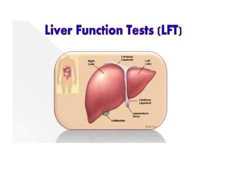 Liver Function